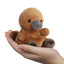 Vogelbekdier / Platypus Palm Pal Plush - 13 cm