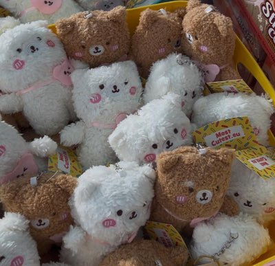 Bear Plushie Key Chain - Pick One